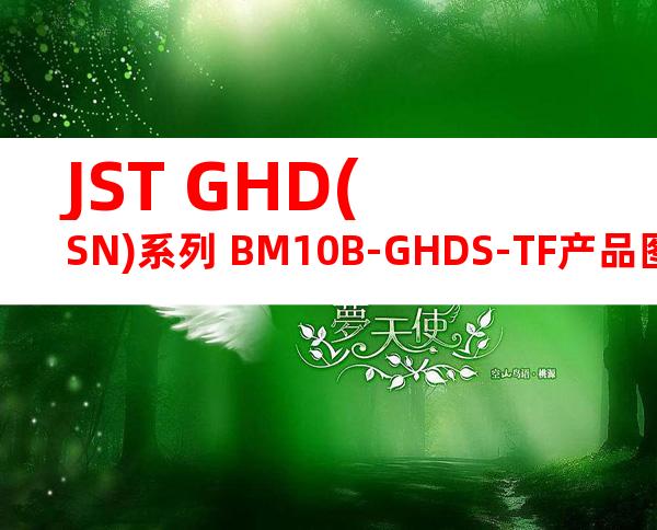 JST GHD(SN)系列 BM10B-GHDS-TF产品图纸